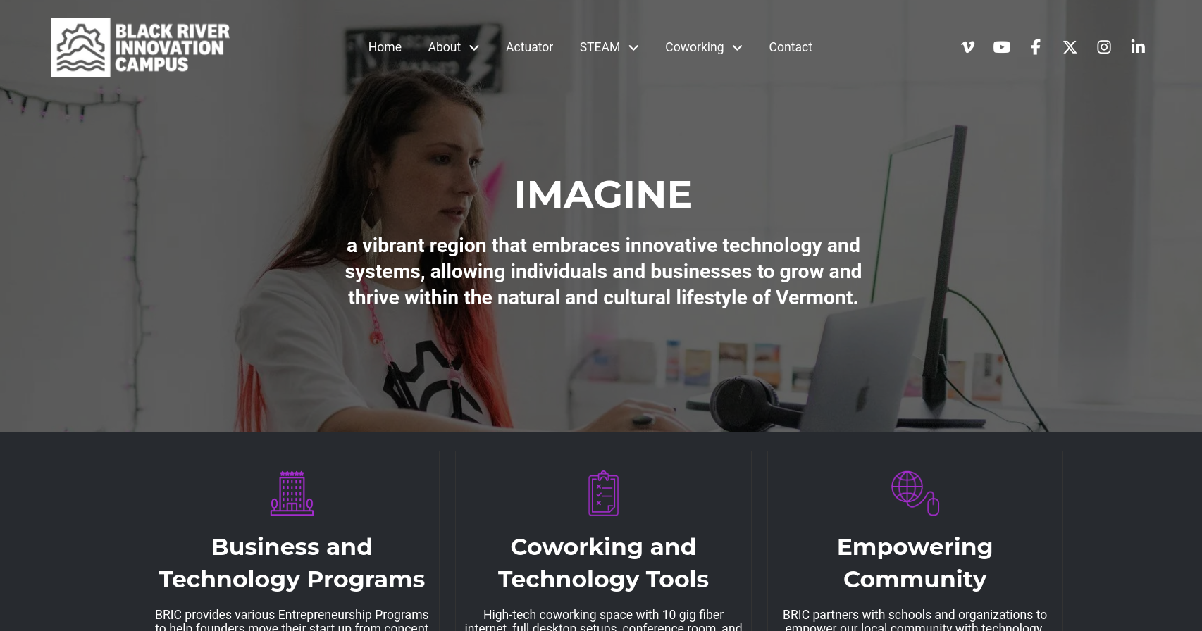 The Black River Innovation Campus (BRIC)