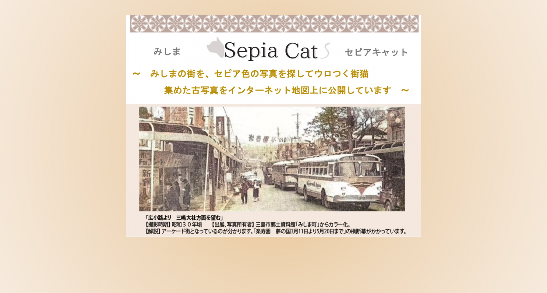 Mishima Sepia Cat (Community Art & Social Project in Mishima)