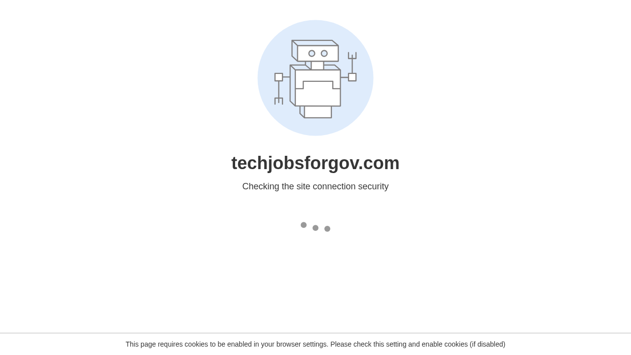 Graphic representing Tech Jobs for Gov